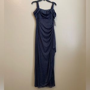 Alex Evenings floor length dress